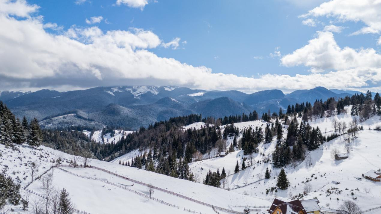 Oportunitate Investiție I Teren 4.000 mp în Fundata I 0% COMISION