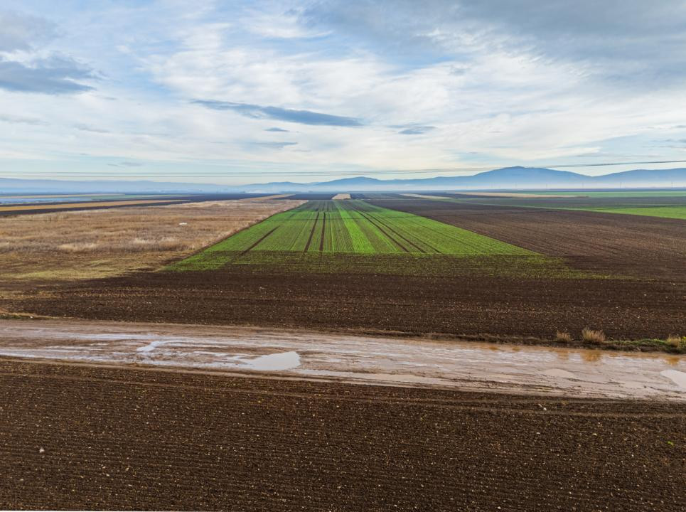 Teren exceptional pentru investitii industriale langa Brasov