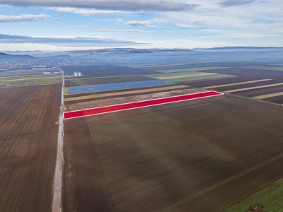 Teren exceptional pentru investitii industriale langa Brasov