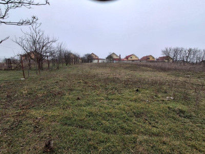 Vânzare Teren  Malu Mare * zona centrală