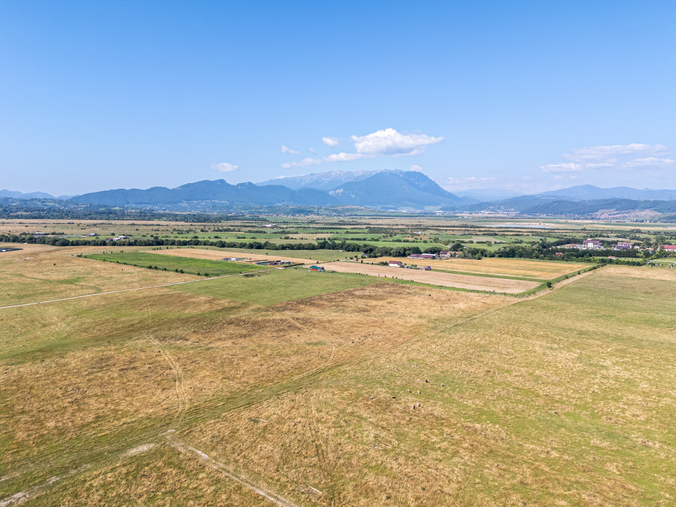 Teren de vânzare, 2.000 mp în Glăjerie, Râșnov, parcelat - COMISION 0%