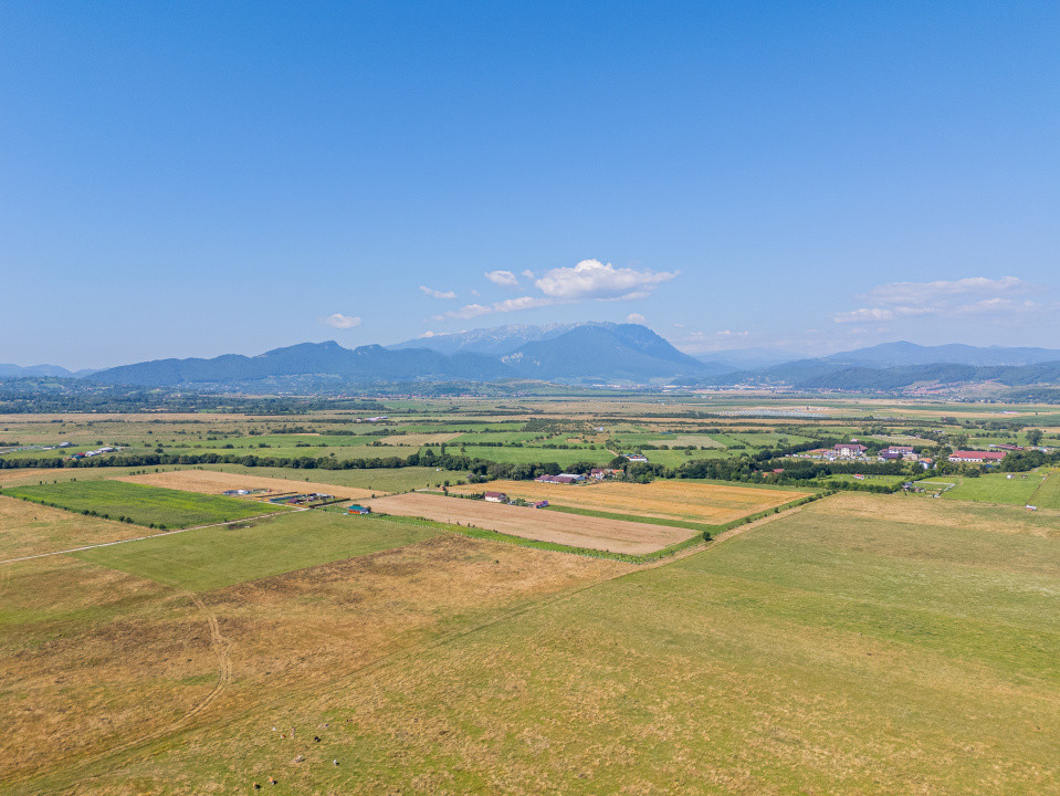 Teren de vânzare, 2.000 mp în Glăjerie, Râșnov, parcelat - COMISION 0%