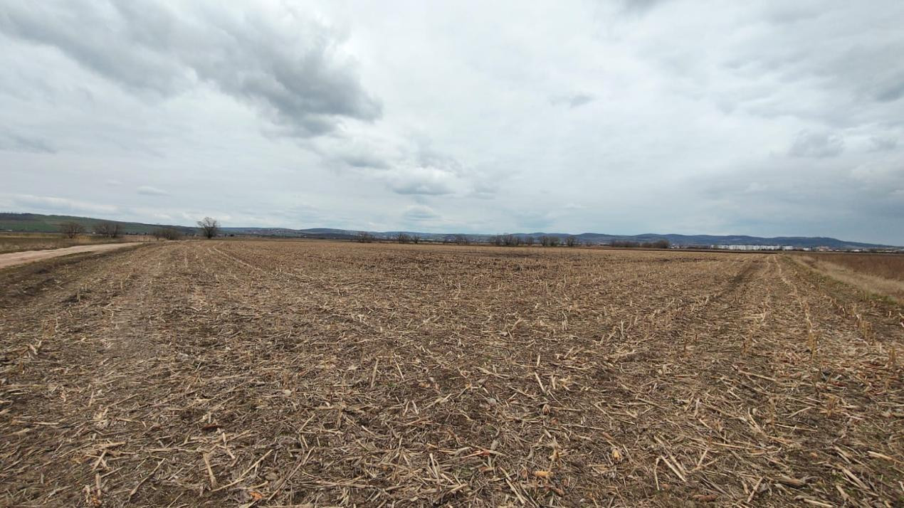 Teren Intravilan 21.439mp S+P+3E+ER deschidere 77m  Calea Surii Mici