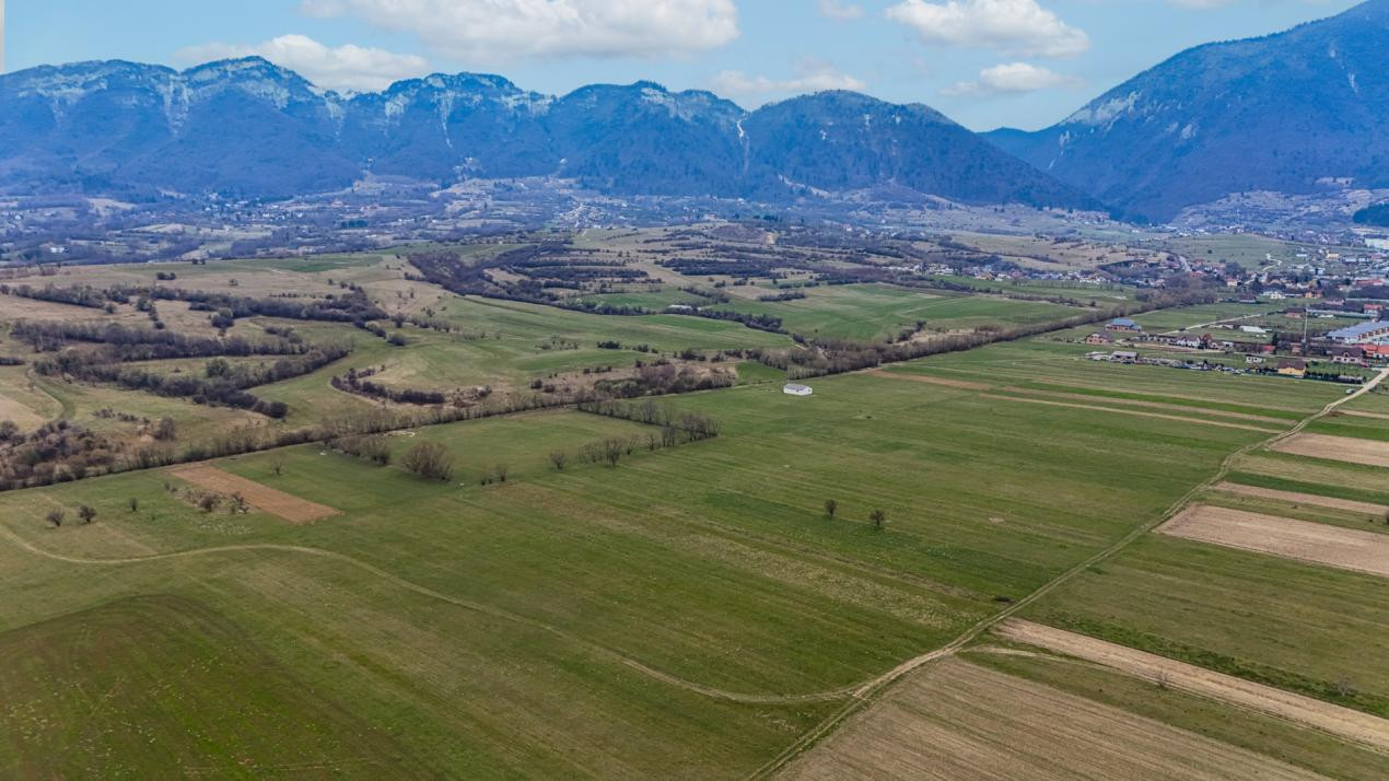 Oportunitate de investitie în Zarnesti I Teren intravilan 8557 mp