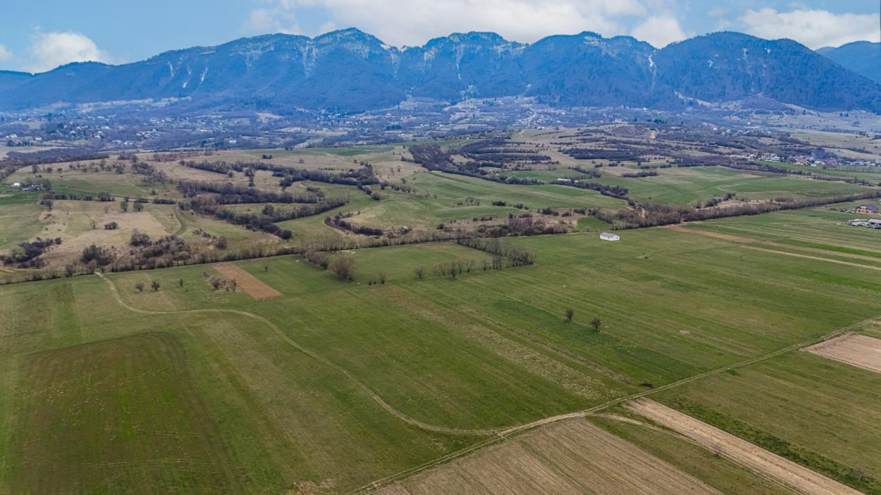 Oportunitate de investitie în Zarnesti I Teren intravilan 8557 mp