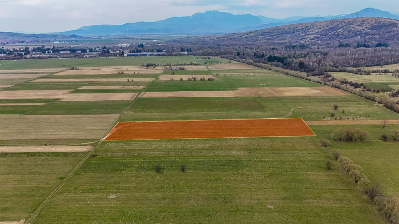 Oportunitate de investitie în Zarnesti I Teren intravilan 8557 mp