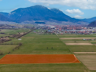 Oportunitate de investitie în Zarnesti I Teren intravilan 8557 mp