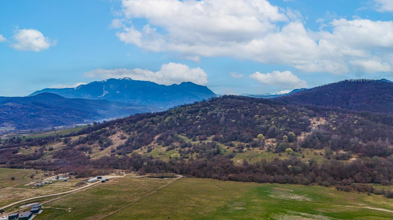 Teren Imprejmuit, PUZ, Utilitati – Glajarie, Zona superba