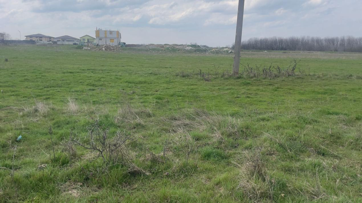 TEREN INTRAVILAN 1000 MP CARCEA - ZONA HANUL CU PONEI