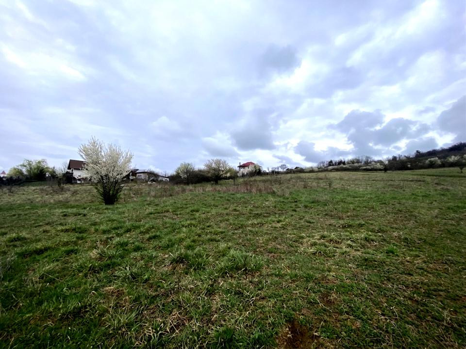 Teren de casa 587mp intravilan curti constructii acces privat Sibiu