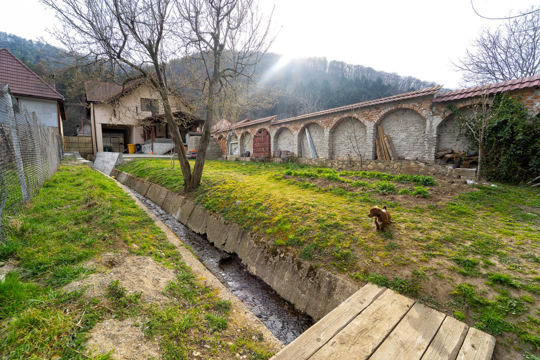  Casă cu farmec între munți - Refugiu ideal în Săliște 