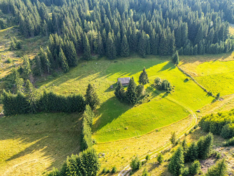 Teren Fundata, Brasov, intravilan, extravilan. COMISION 0% pret bun