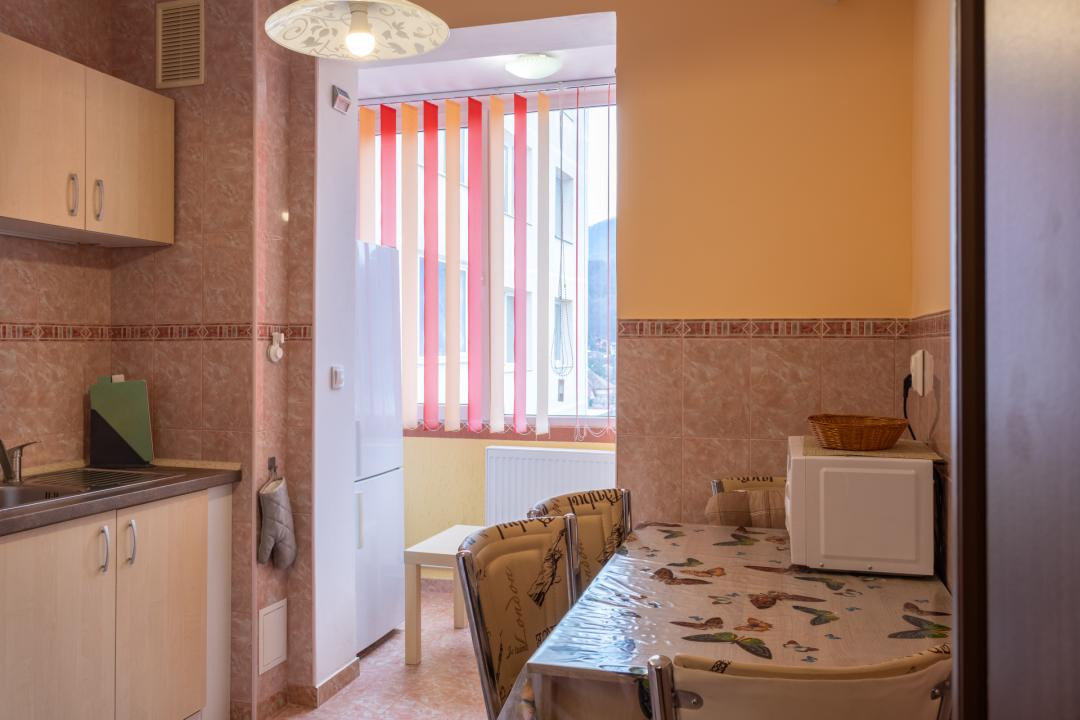 Închiriere garsonieră mobilată și utilată, strada Nucului