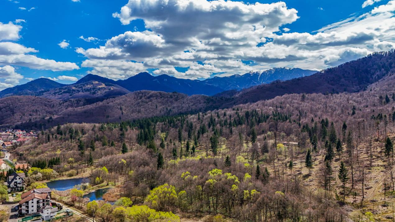 Vilă individuală mediteraneană - dotări premium - 5 camere - Brasov 