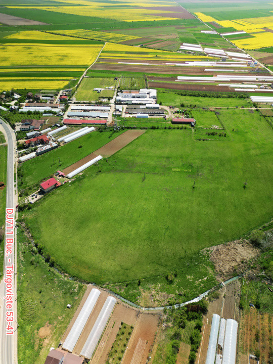  Comision 0% I Teren intravilan I 9.5 Ha I Băleni