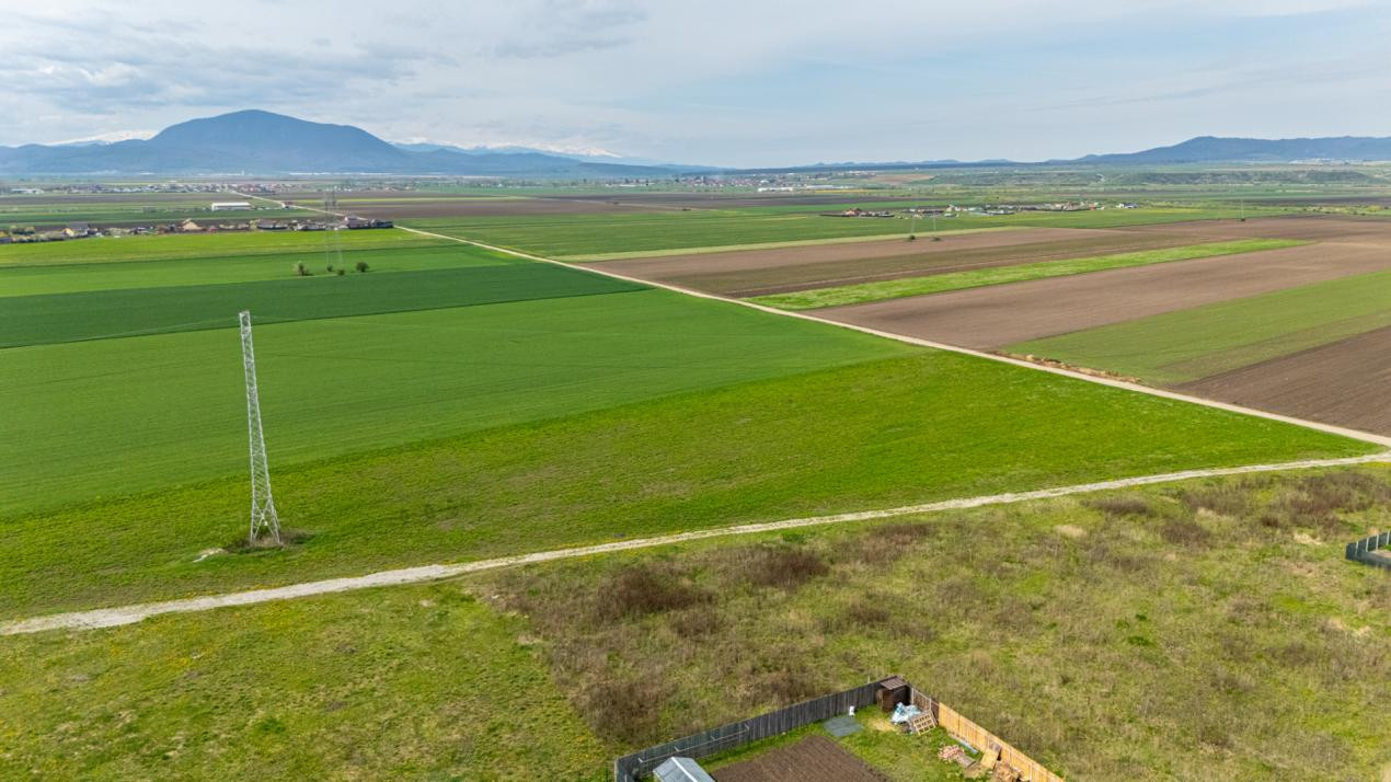 Teren intravilan de vanzare - Halchiu