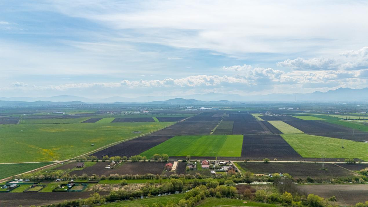 Teren intravilan de vanzare - Halchiu