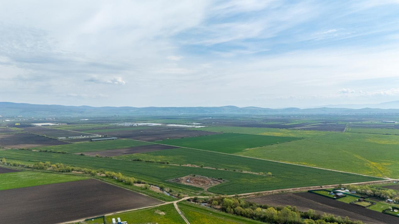 Teren intravilan de vanzare - Halchiu