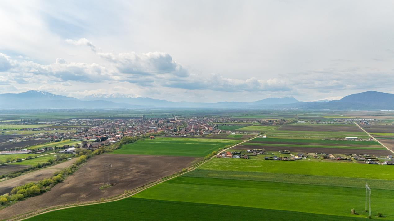 Teren intravilan de vanzare - Halchiu