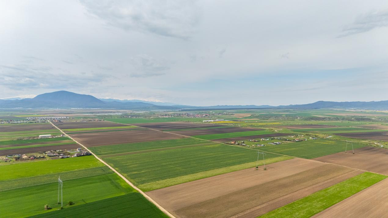 Teren intravilan de vanzare - Halchiu