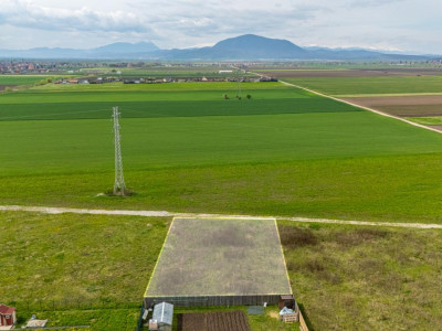 Teren intravilan de vanzare - Halchiu