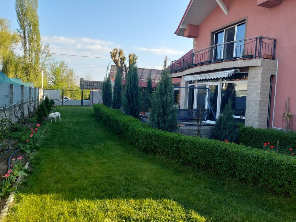 Casa deosebita -zona tancodrom