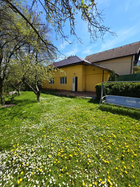 Casa de inchiriat in NOUA
