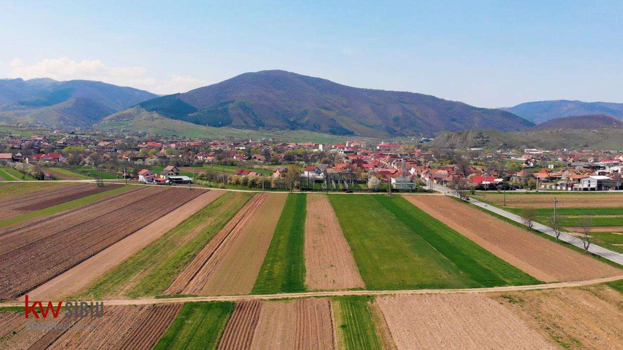Oportunitate investiție – 6 parcele cu PUZ aprobat și autorizație - Orlat