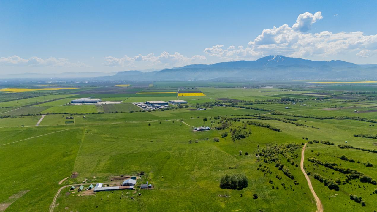Teren 1500 mp | Zona Viesez – Codlea | Priveliște Superbă | Investiție 