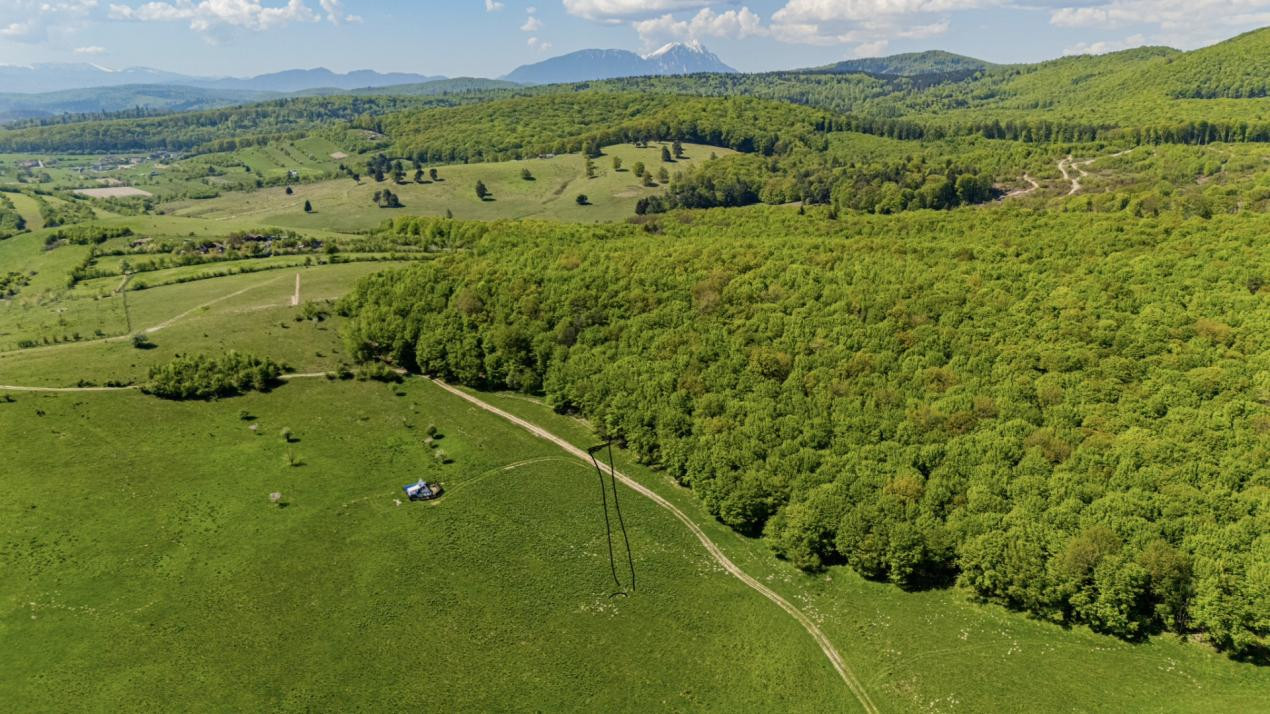 Teren 1500 mp | Zona Viesez – Codlea | Priveliște Superbă | Investiție 