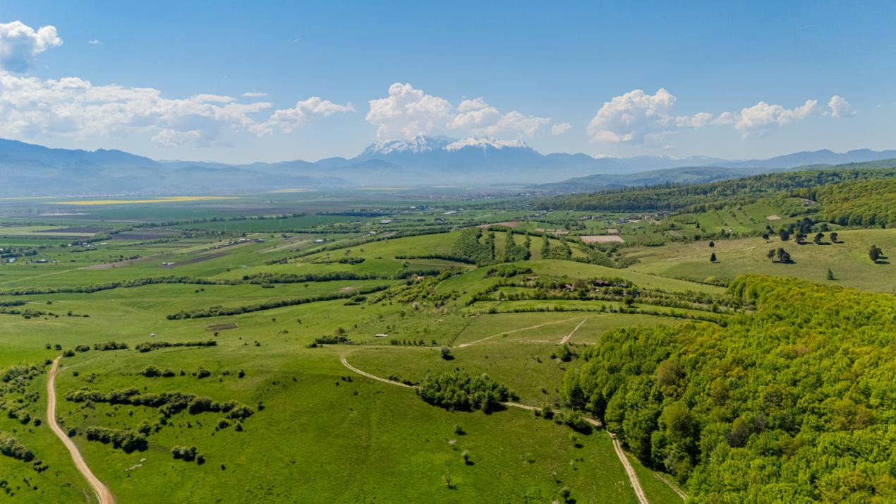 Teren 1500 mp | Zona Viesez – Codlea | Priveliște Superbă | Investiție 