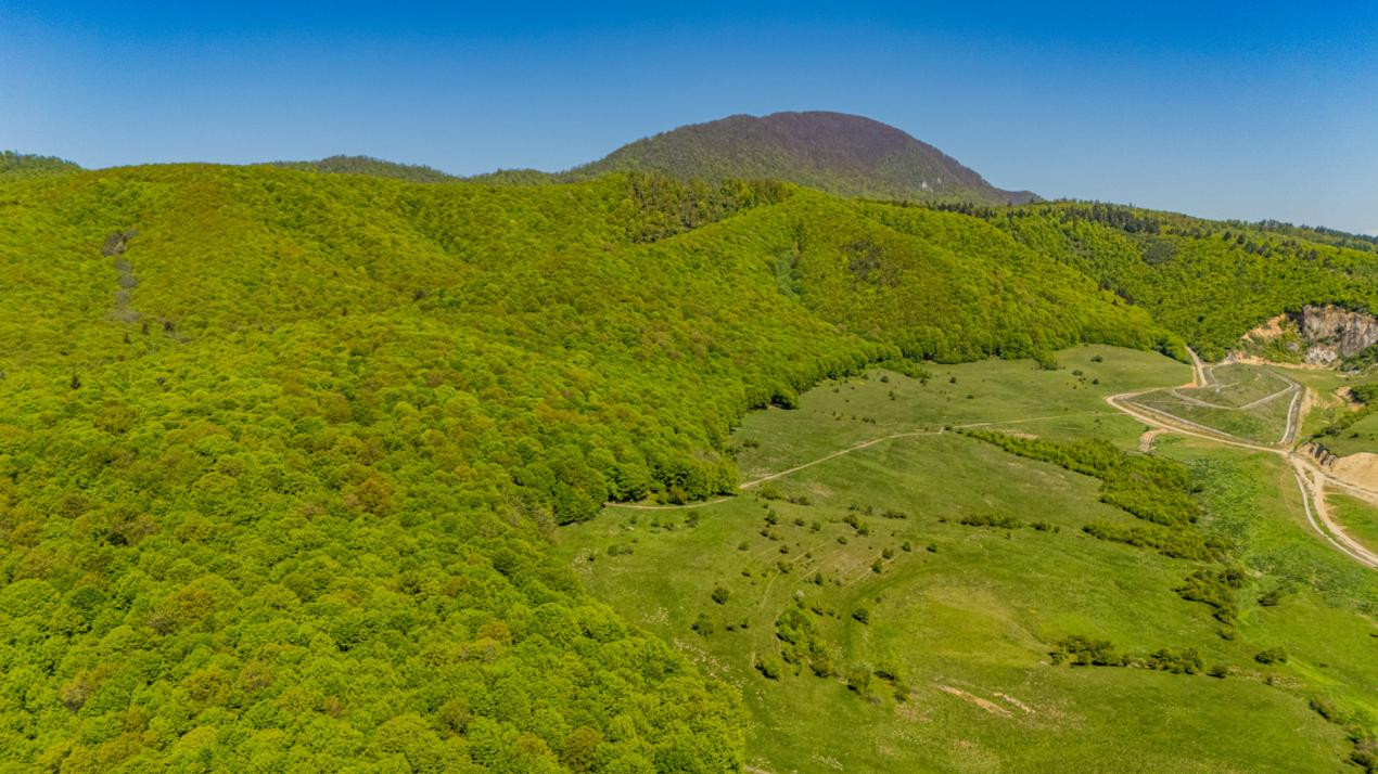Teren 1500 mp | Zona Viesez – Codlea | Priveliște Superbă | Investiție 