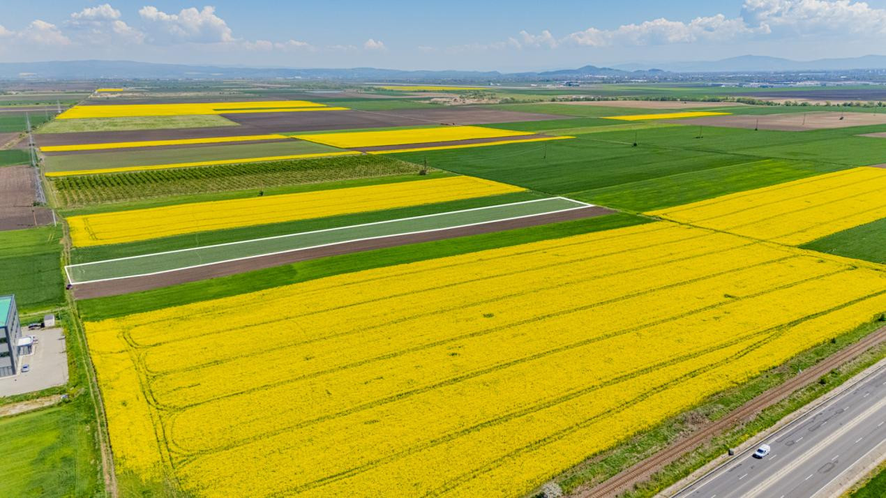     Teren 10.600 mp în Codlea – ideal pentru investiție industrială