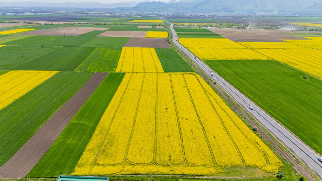     Teren 10.600 mp în Codlea – ideal pentru investiție industrială