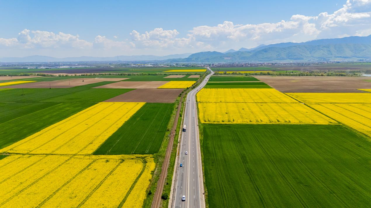     Teren 10.600 mp în Codlea – ideal pentru investiție industrială