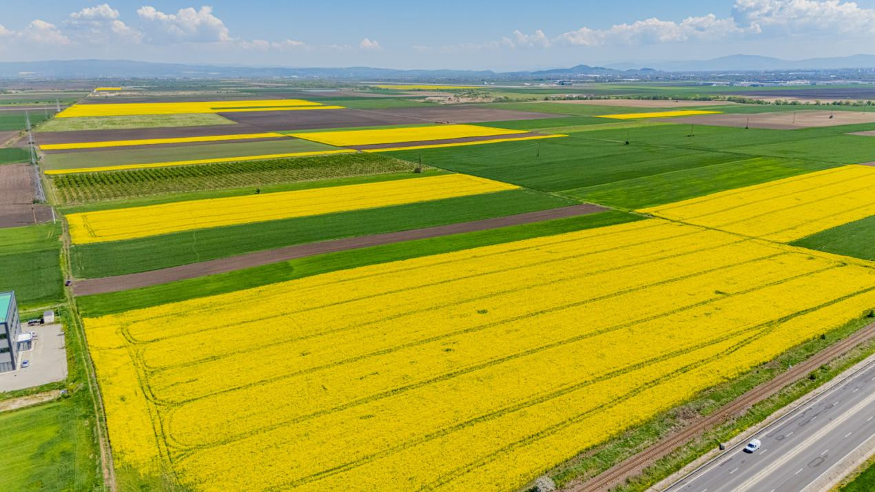     Teren 10.600 mp în Codlea – ideal pentru investiție industrială