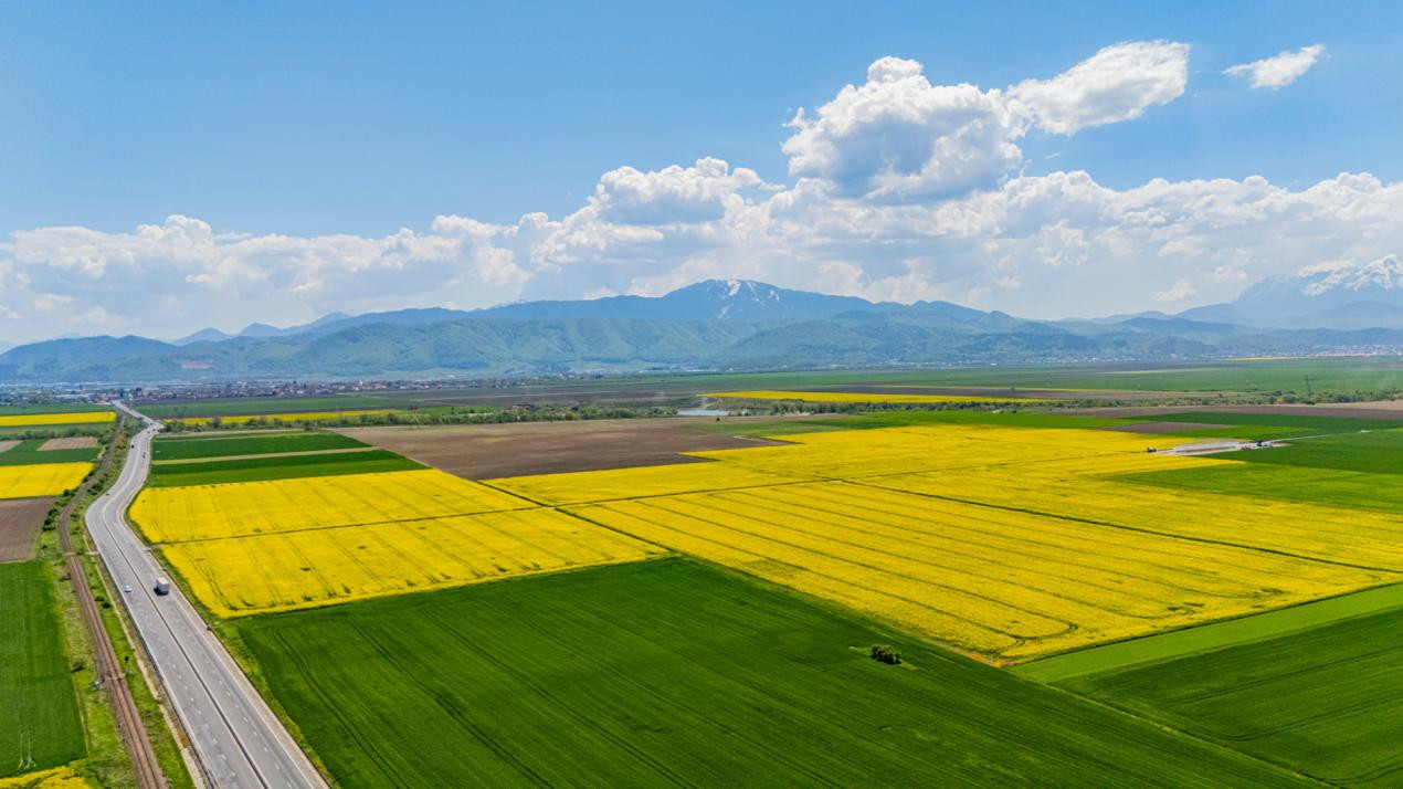     Teren 10.600 mp în Codlea – ideal pentru investiție industrială