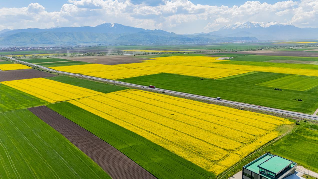     Teren 10.600 mp în Codlea – ideal pentru investiție industrială