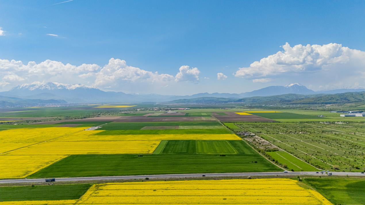     Teren 10.600 mp în Codlea – ideal pentru investiție industrială