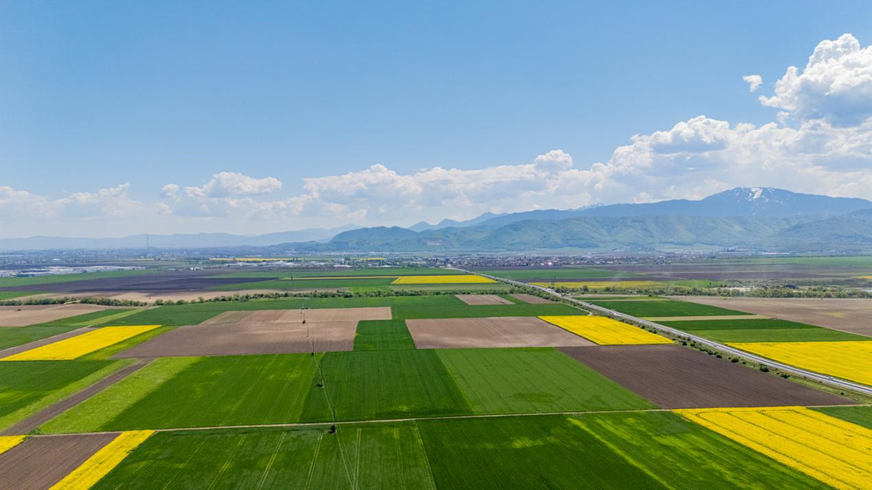     Teren 10.600 mp în Codlea – ideal pentru investiție industrială