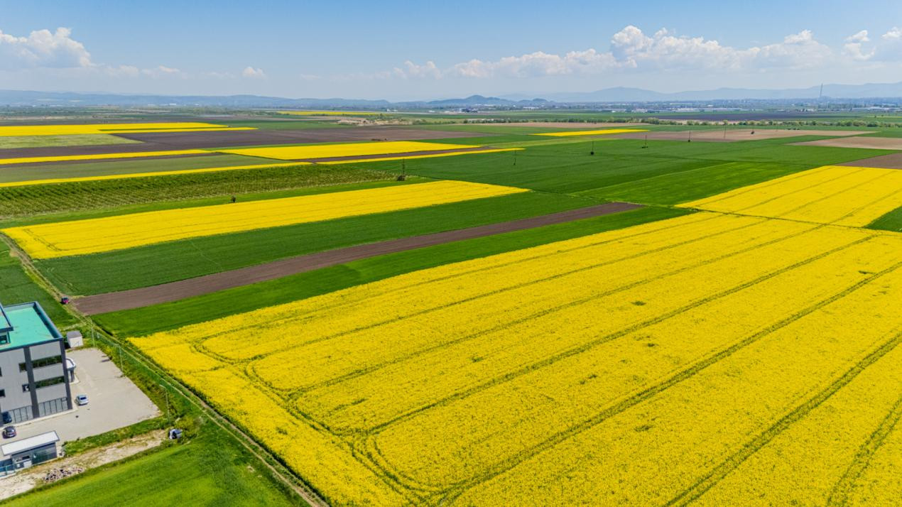     Teren 10.600 mp în Codlea – ideal pentru investiție industrială