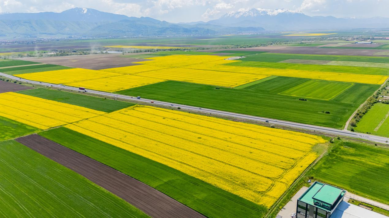     Teren 10.600 mp în Codlea – ideal pentru investiție industrială