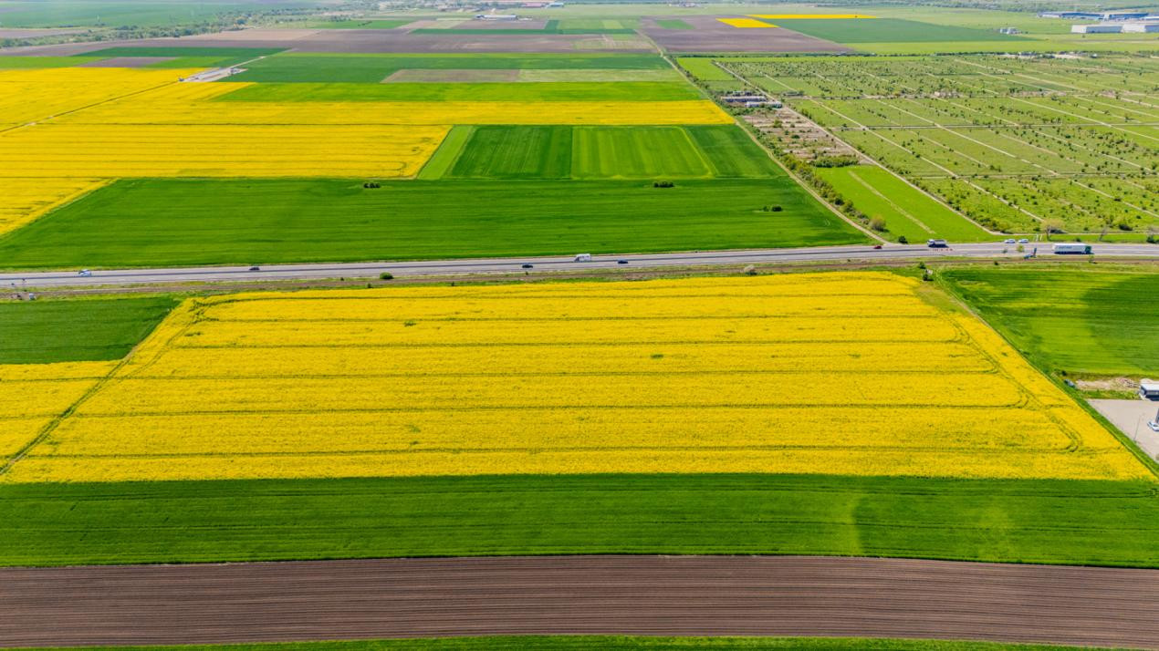     Teren 10.600 mp în Codlea – ideal pentru investiție industrială