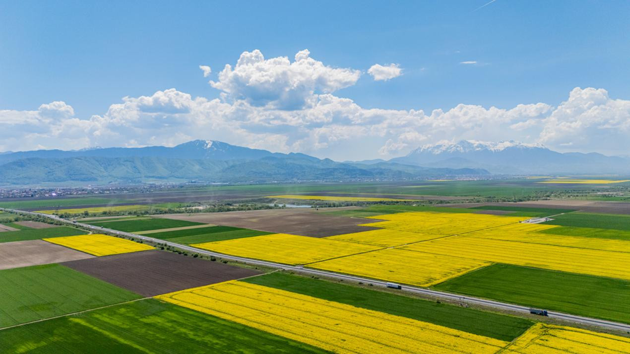     Teren 10.600 mp în Codlea – ideal pentru investiție industrială