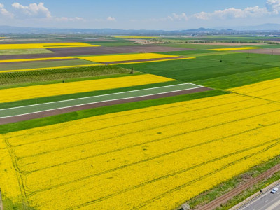     Teren 10.600 mp în Codlea – ideal pentru investiție industrială