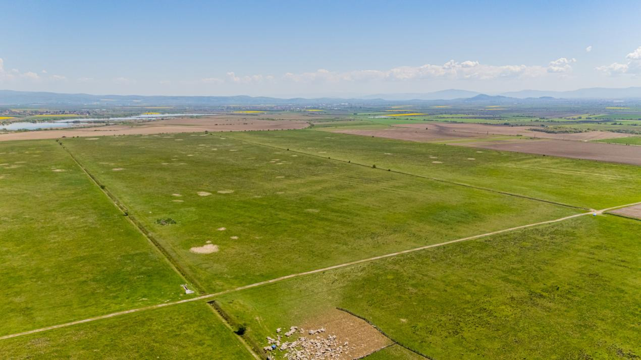     Teren extravilan 4.700 mp Codlea –Zona Lacurilor - ideal pentru investiție