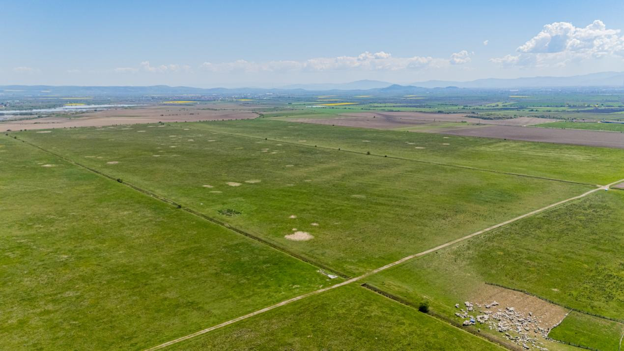     Teren extravilan 4.700 mp Codlea –Zona Lacurilor - ideal pentru investiție