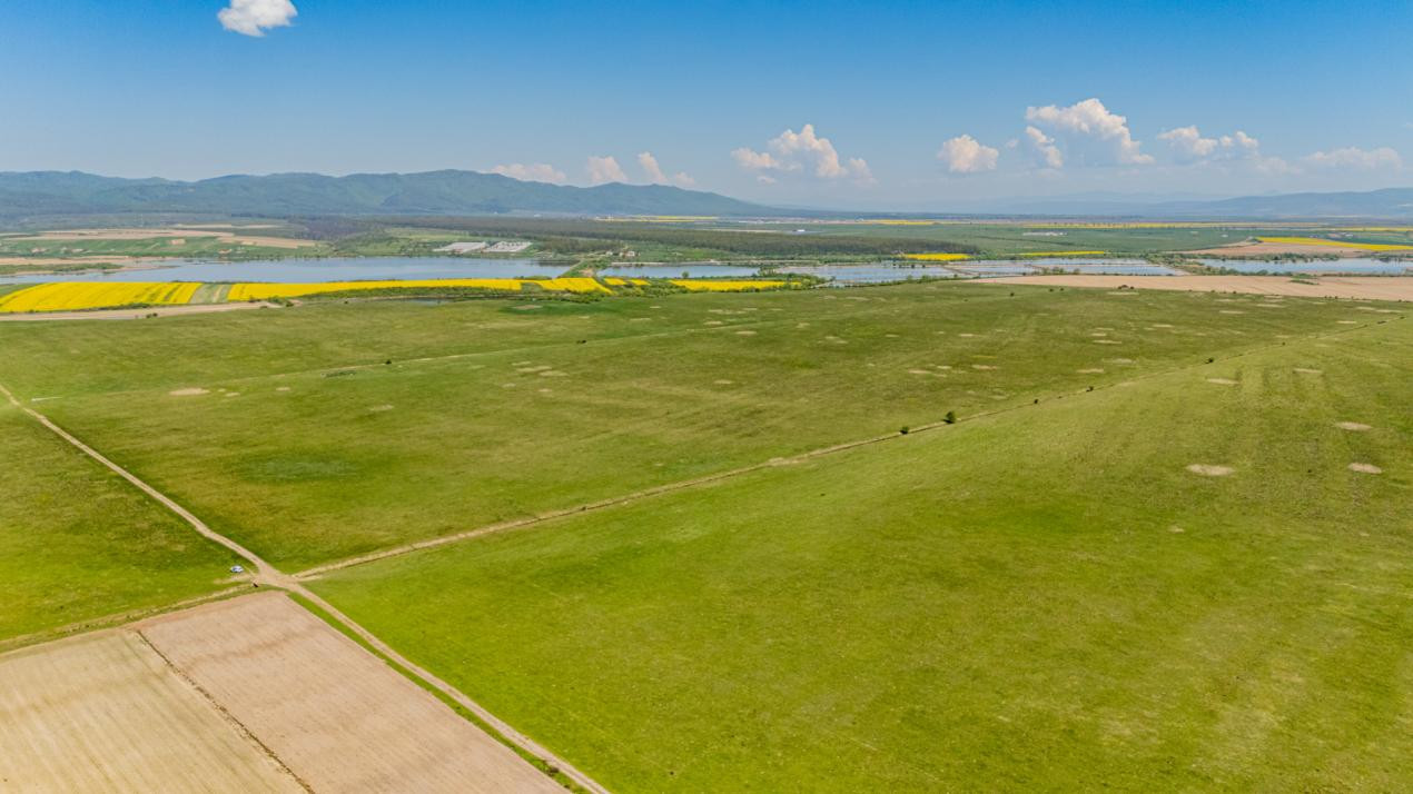     Teren extravilan 4.700 mp Codlea –Zona Lacurilor - ideal pentru investiție