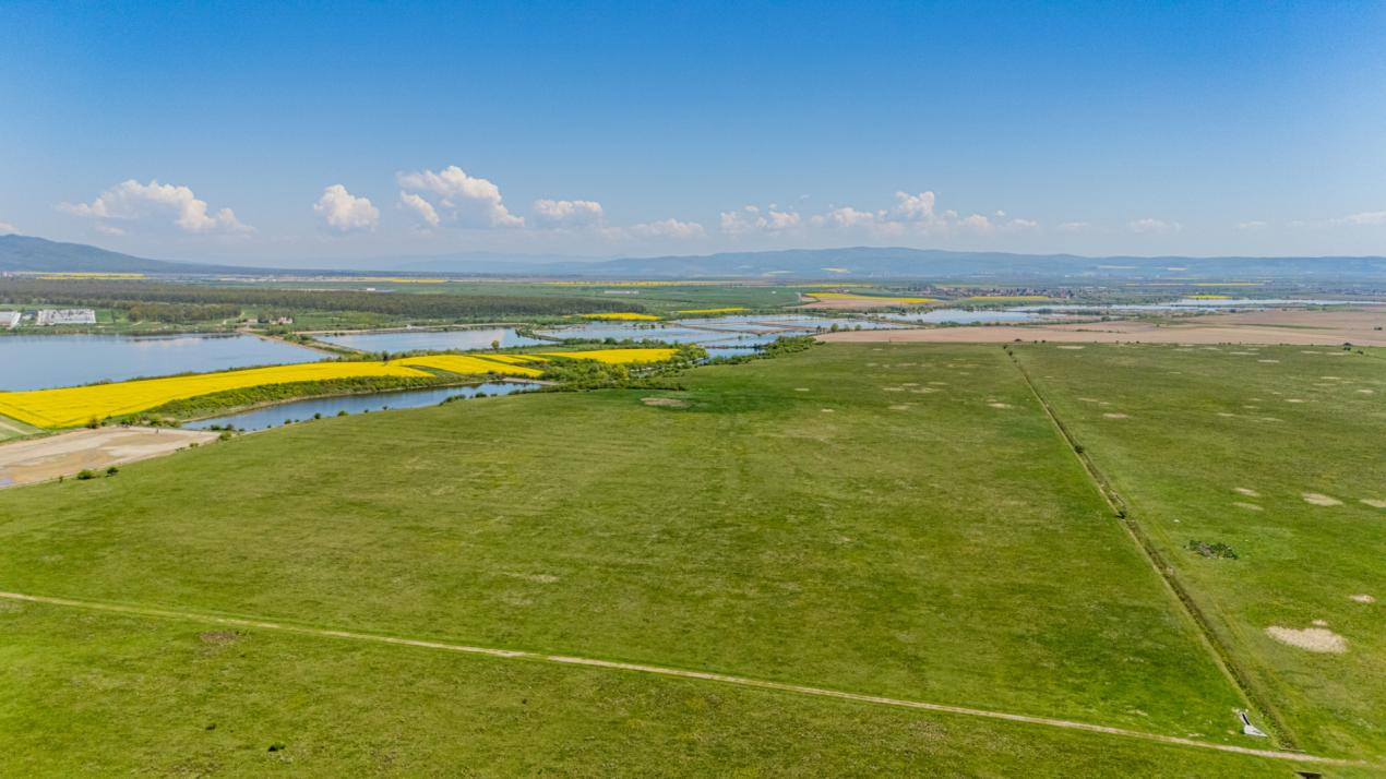     Teren extravilan 4.700 mp Codlea –Zona Lacurilor - ideal pentru investiție