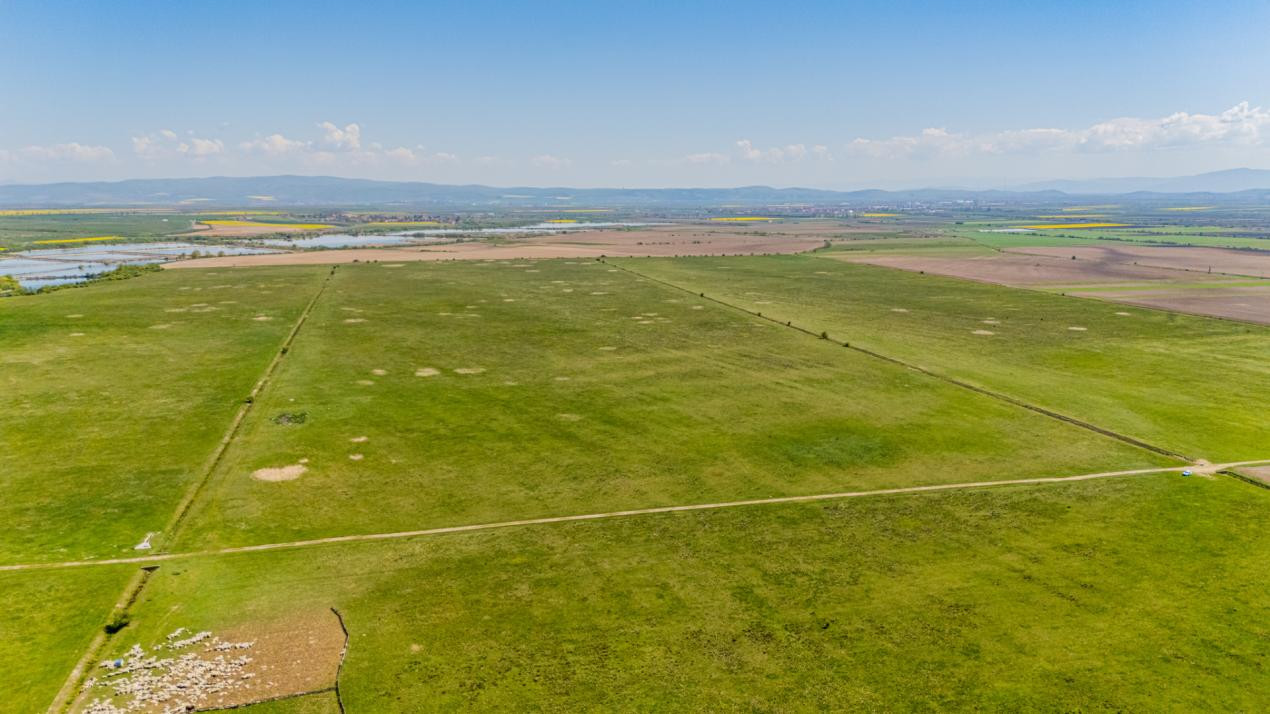     Teren extravilan 4.700 mp Codlea –Zona Lacurilor - ideal pentru investiție